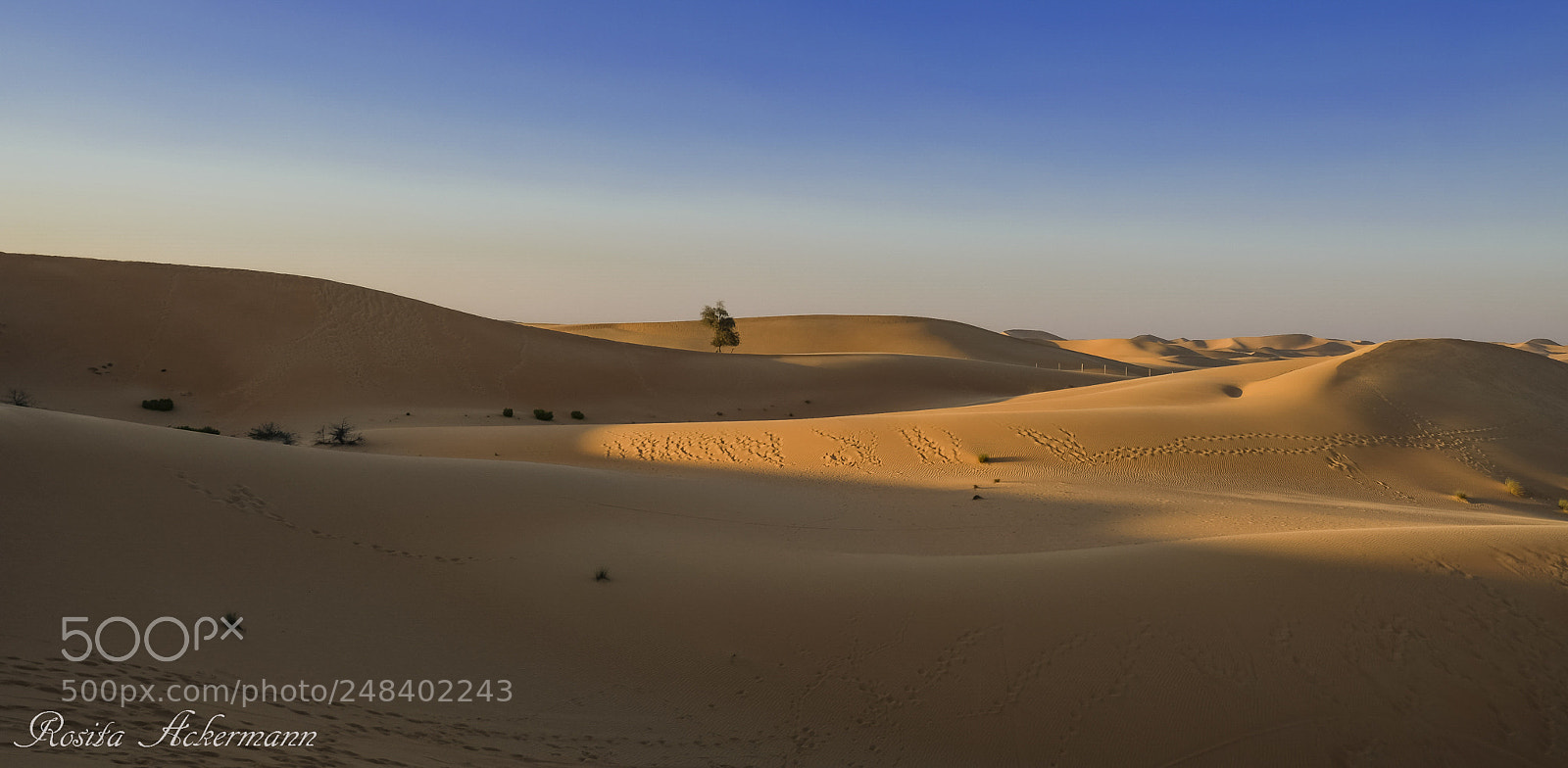 Fujifilm X-T20 sample photo. Abu dhabi desert photography