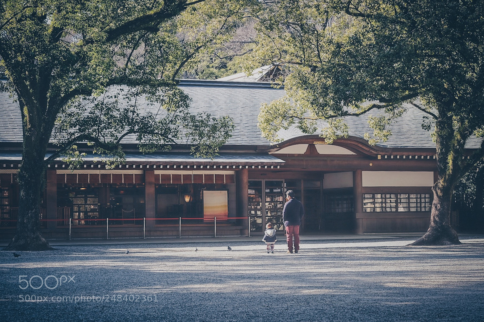 Fujifilm X-T2 sample photo. Like father, like son photography