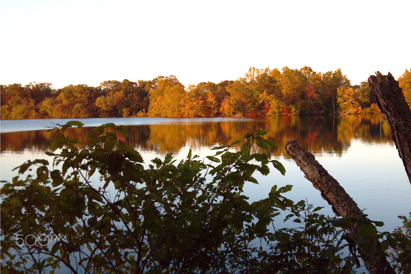 Motorola Photon 4G sample photo. Fall foliage photography