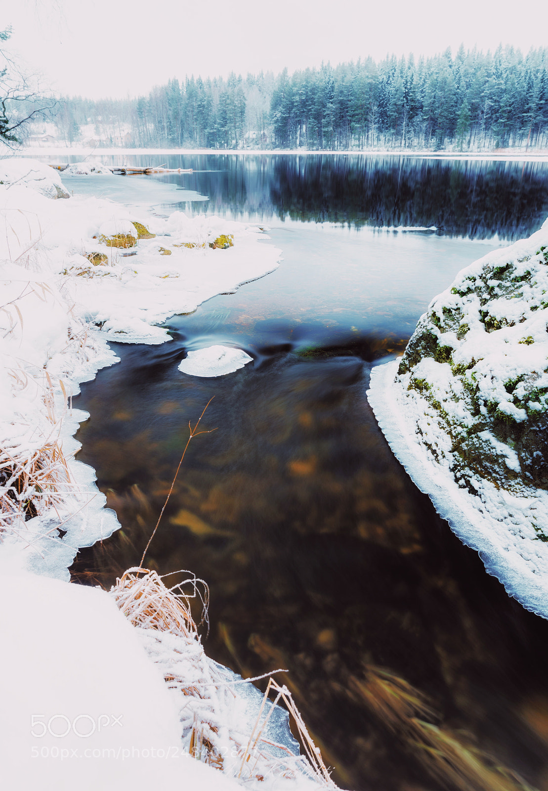 Nikon D600 sample photo. Open water photography