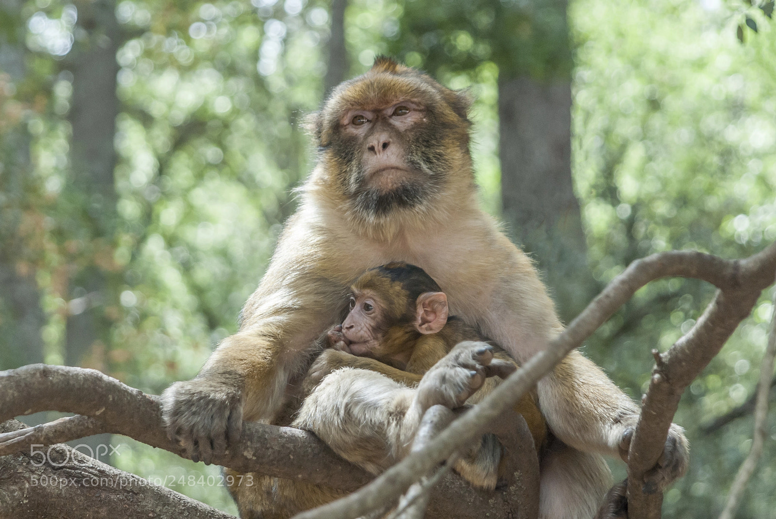 Nikon D200 sample photo. Mom and baby photography