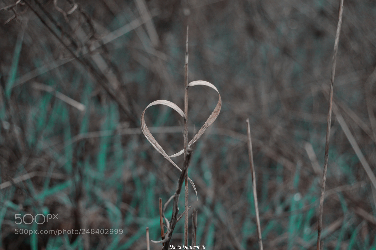Nikon D3200 sample photo. What do you recommenend ?:) photography