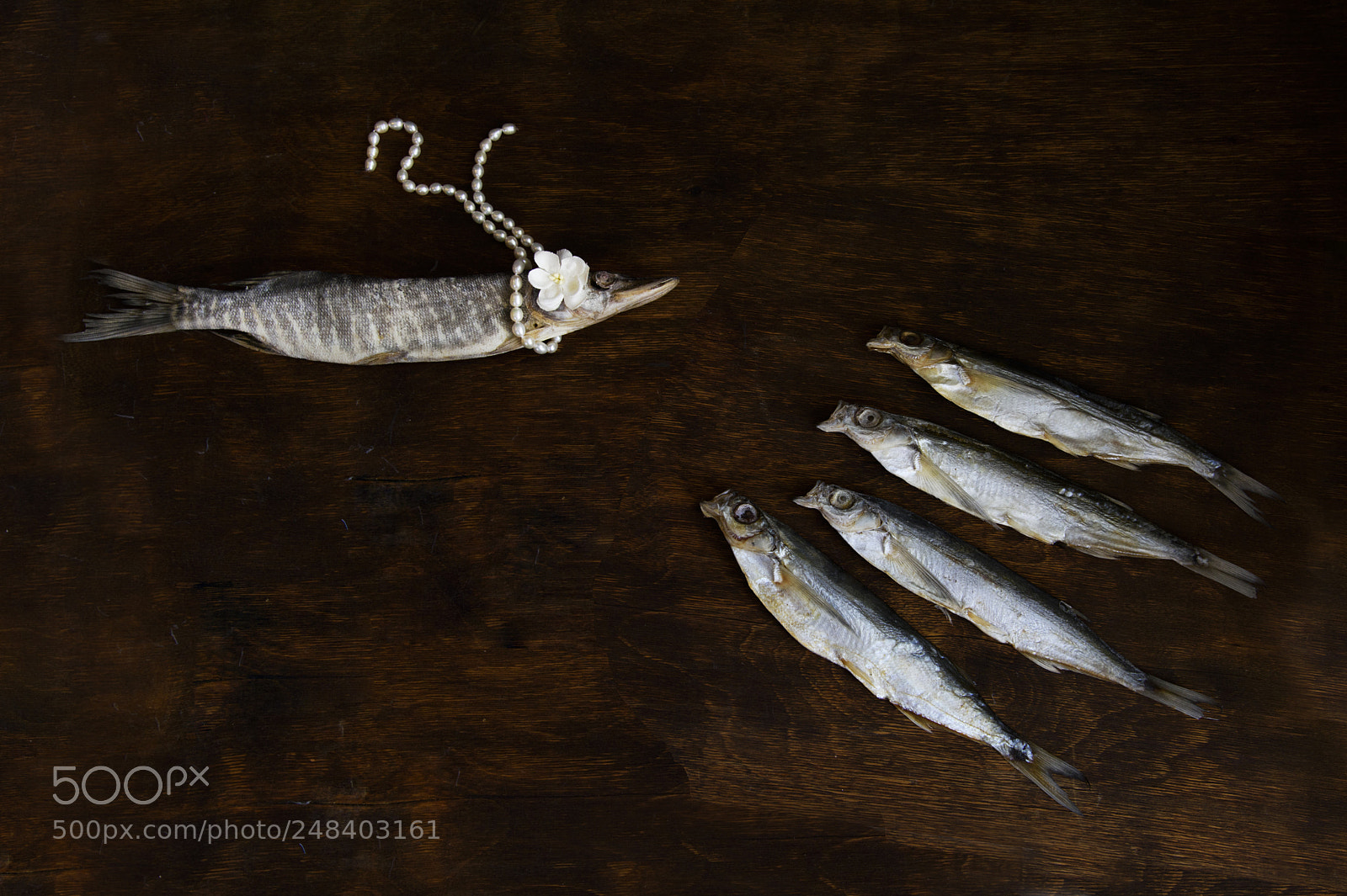 Nikon D810 sample photo. Spring pike photography