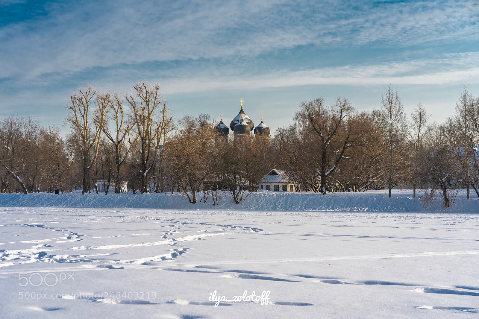 Sony a7 II sample photo. Untitled photography