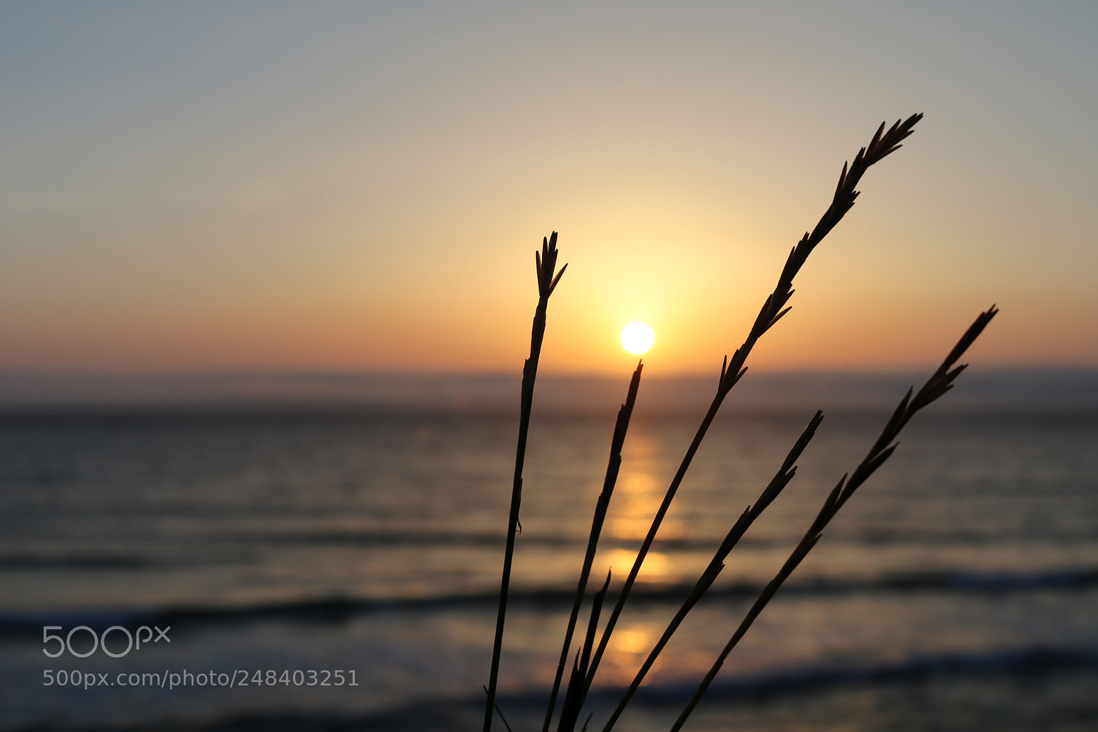Canon EOS 80D sample photo. Sunset lovers 5 photography