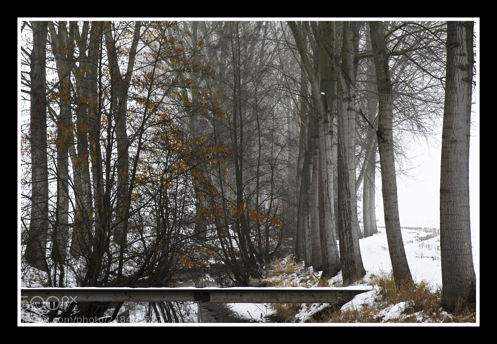 Nikon D610 sample photo. Stroll through the countryside photography