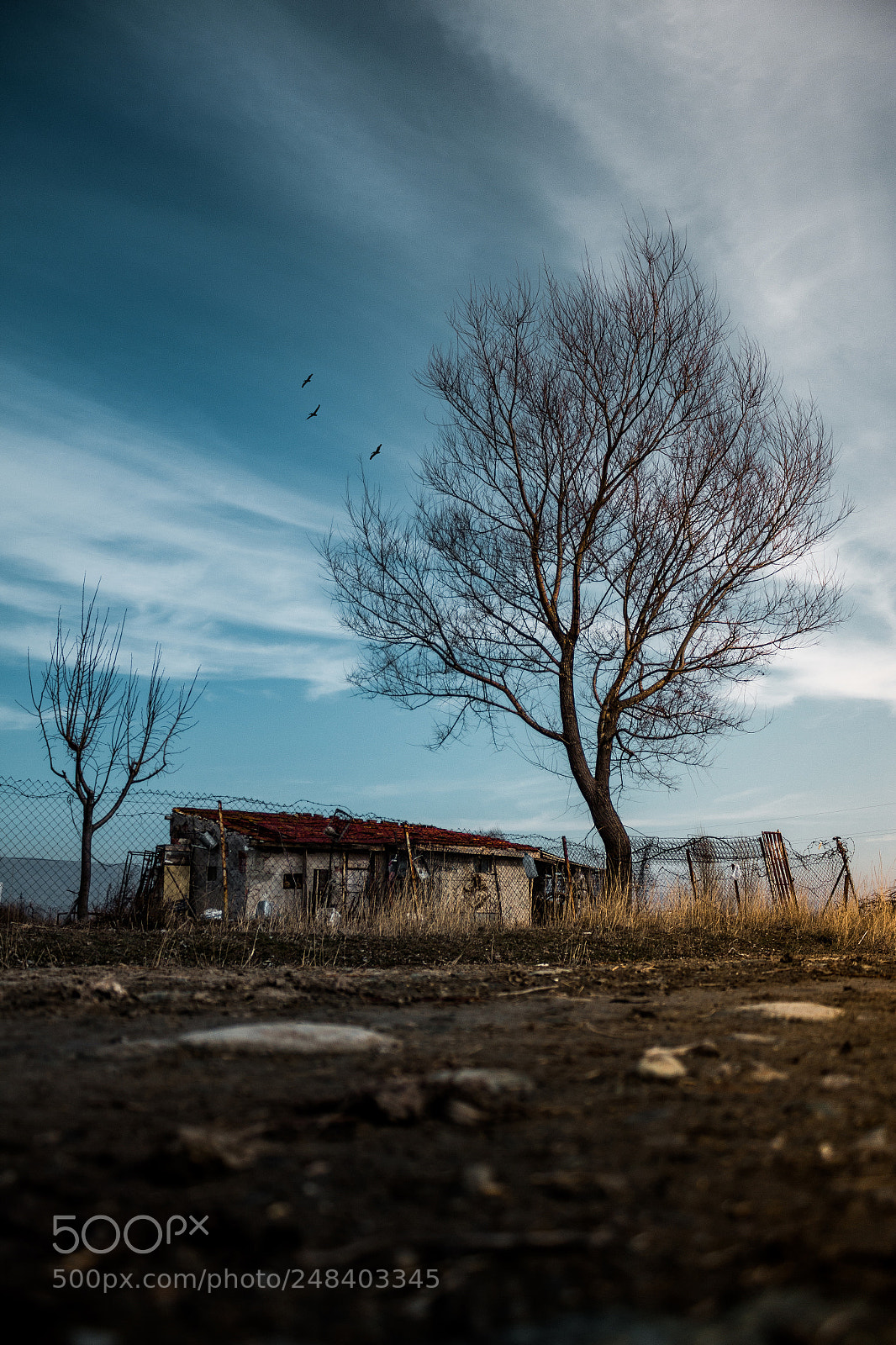 Canon EOS 700D (EOS Rebel T5i / EOS Kiss X7i) sample photo. Lonely day in village. photography