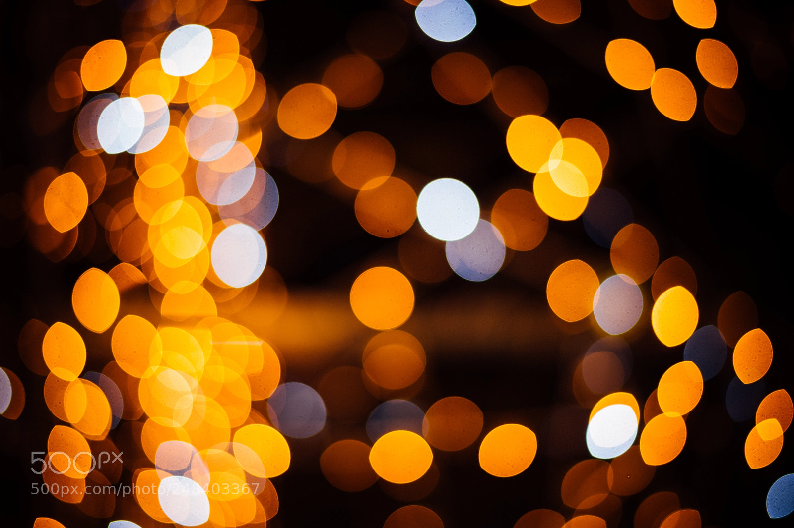 Nikon D4 sample photo. Bokeh magic photography