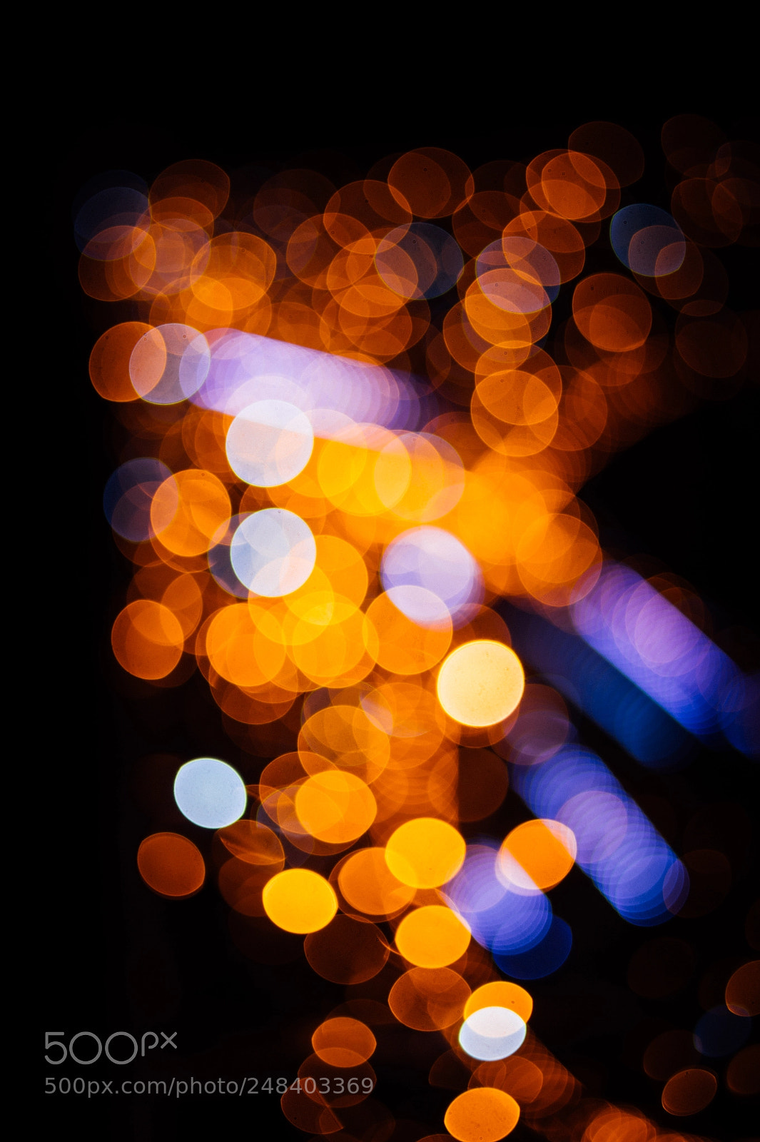 Nikon D4 sample photo. Bokeh magic photography