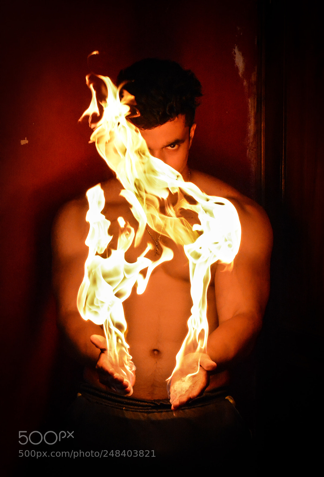 Nikon D5200 sample photo. Wings of fire photography