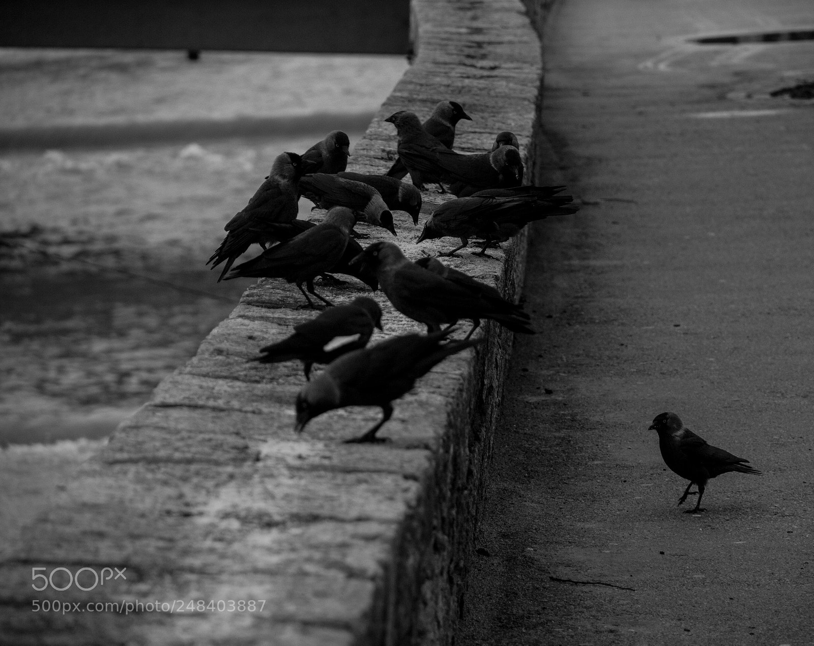 Canon EOS 60D sample photo. Outcast. photography