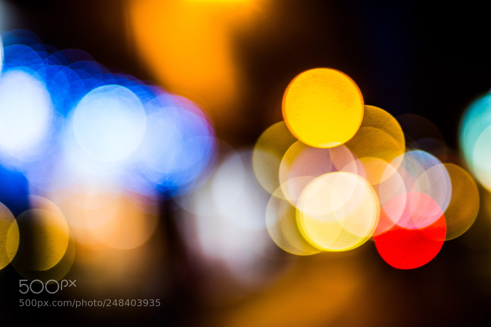 Nikon D4 sample photo. Bokeh magic photography