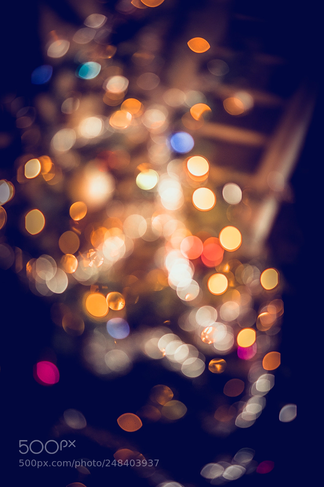 Nikon D700 sample photo. Bokeh magic photography