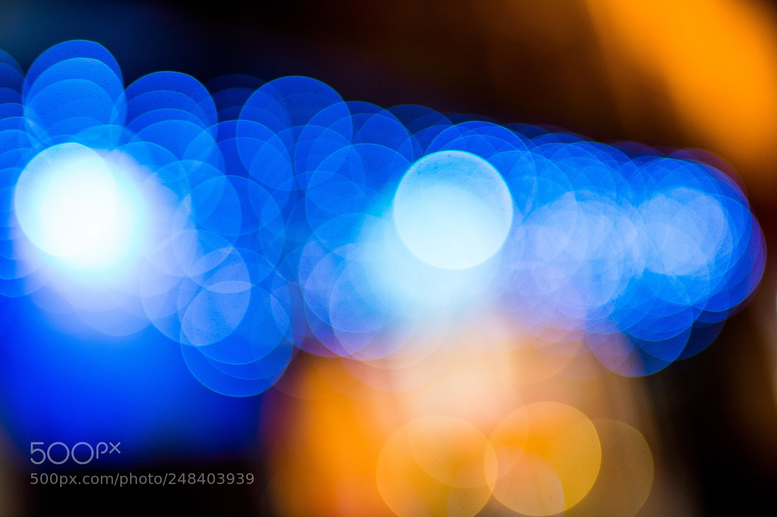 Nikon D4 sample photo. Bokeh magic photography