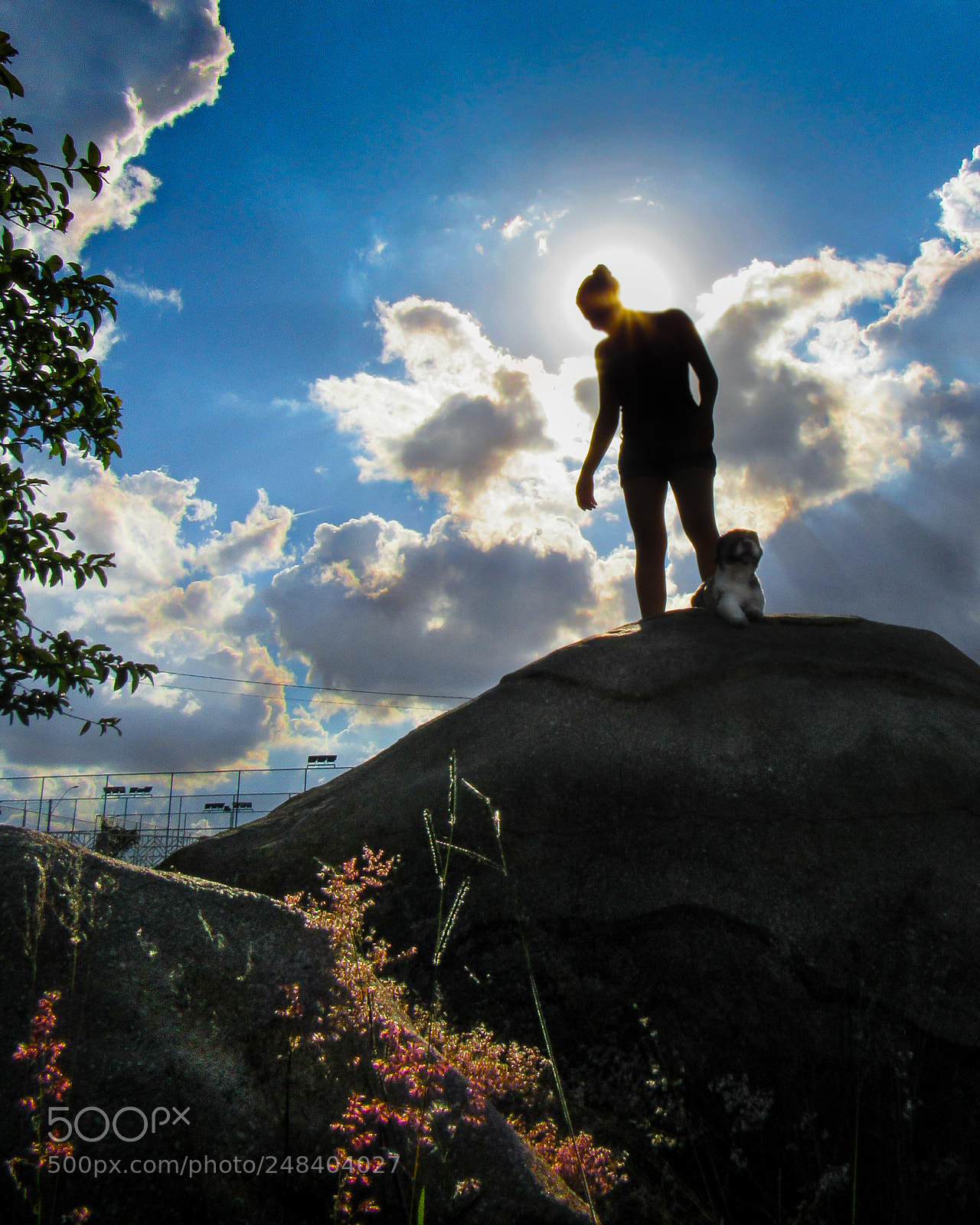 Canon PowerShot SX530 HS sample photo. Climbing with a dog photography