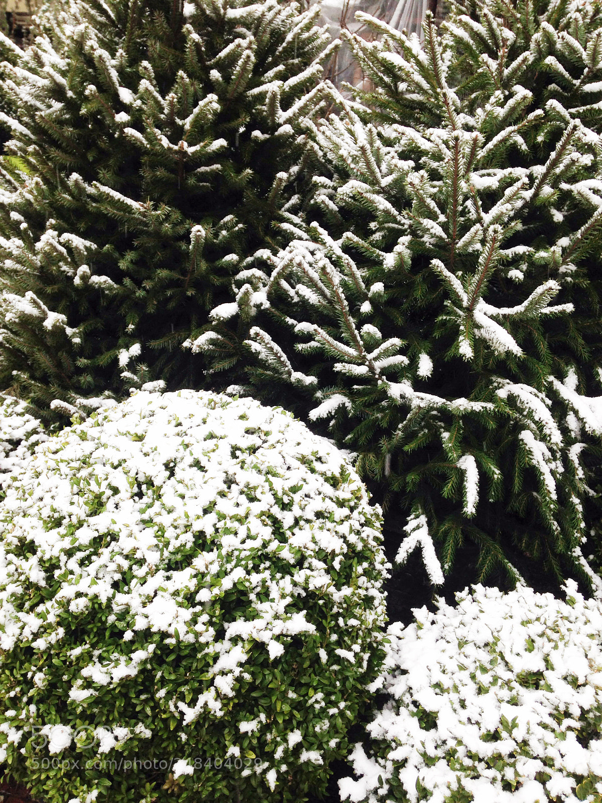 Apple iPhone 5c sample photo. Untitled photography