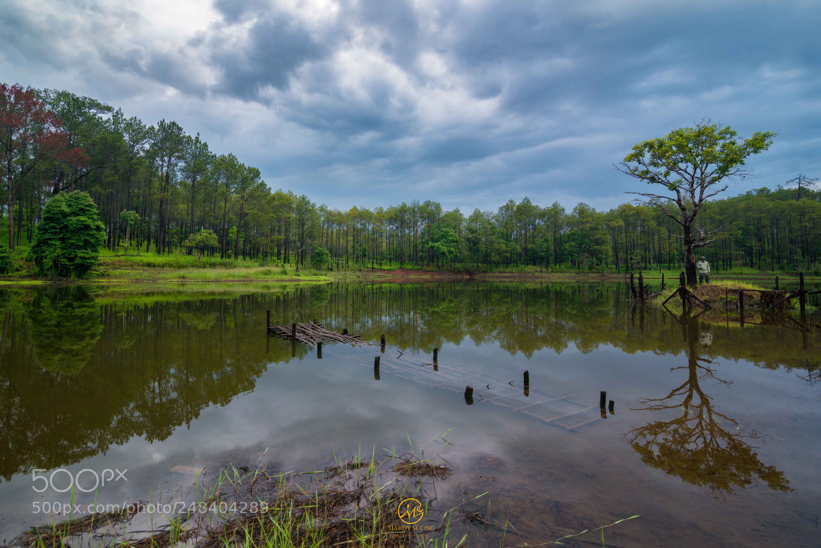 Nikon D800 sample photo. ធម្មជាតិពិតពិត a real nature photography