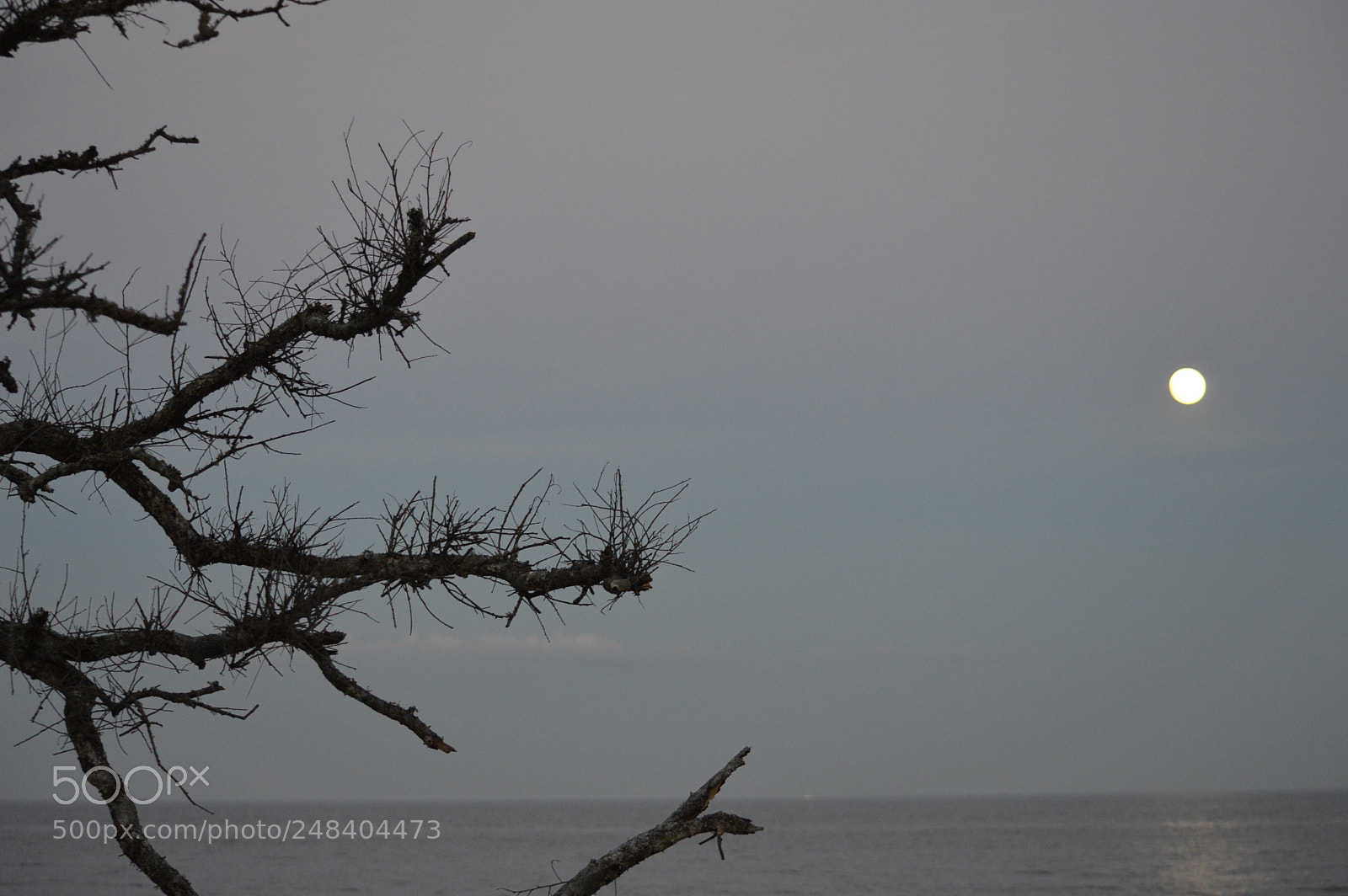 Nikon D3200 sample photo. Moon over jekyll island photography