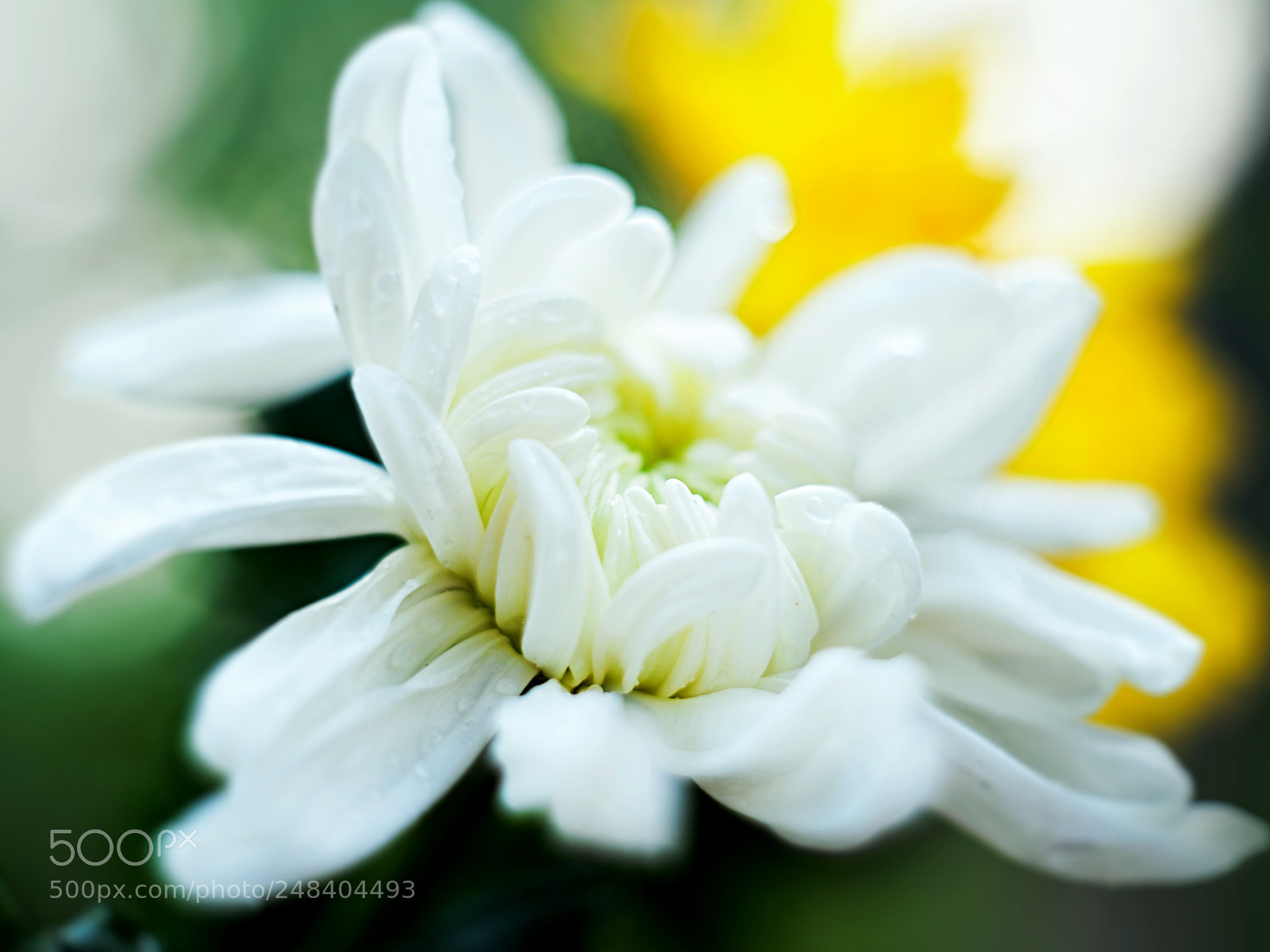 Nikon D3 sample photo. 2173061.jpg photography