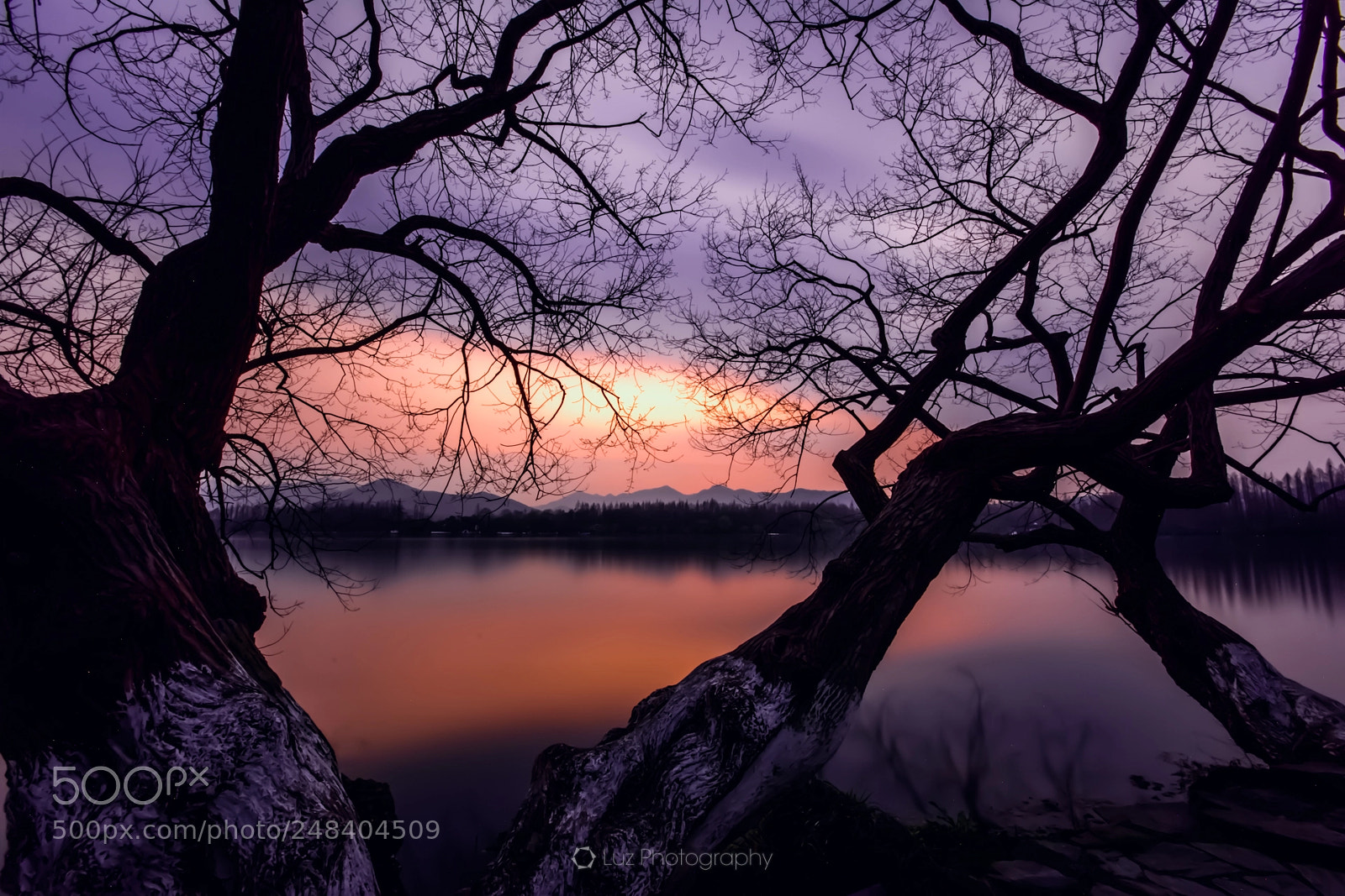 Nikon D7100 sample photo. Purple sunset photography