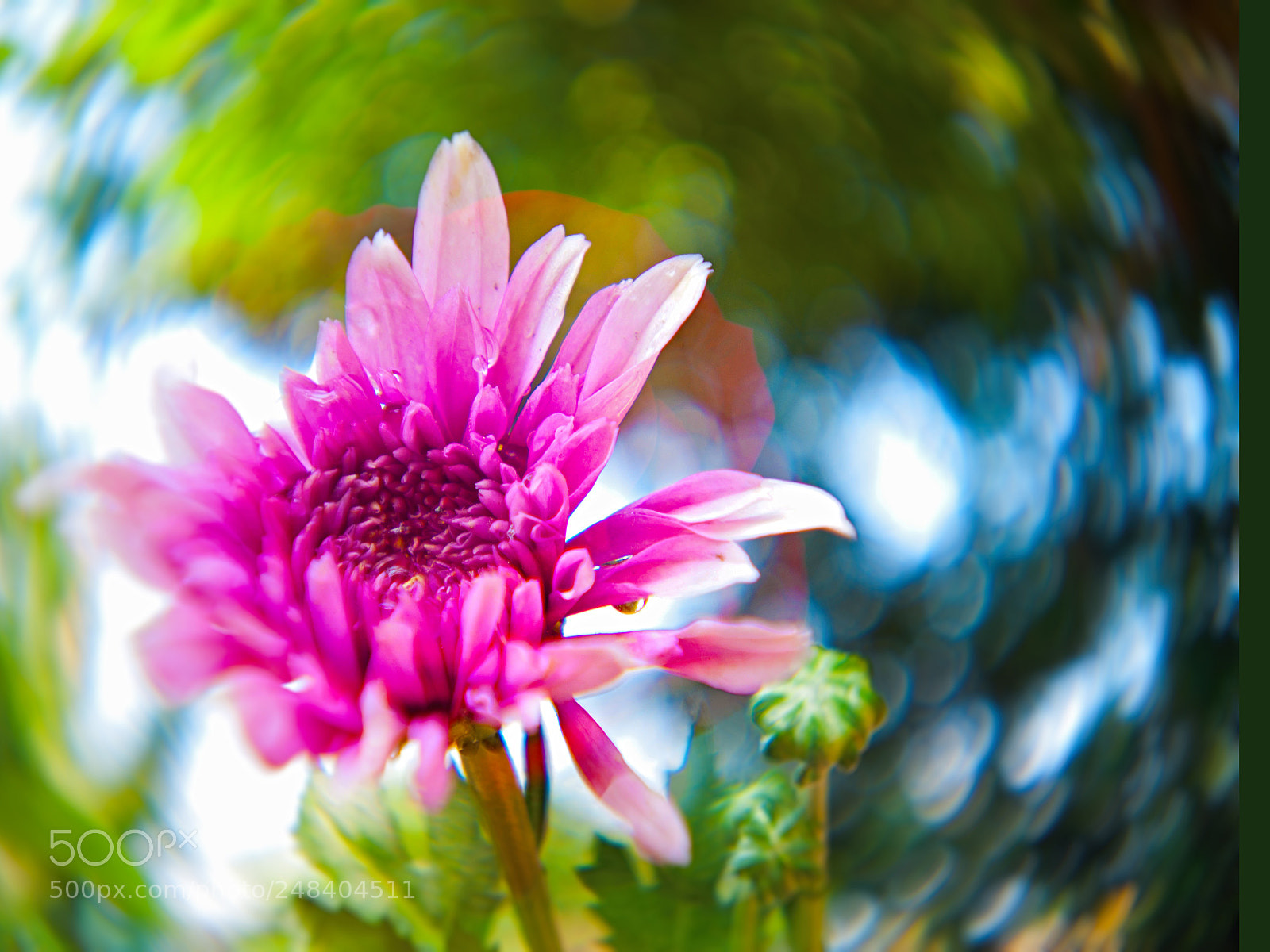 Nikon D3 sample photo. 2173921.jpg photography