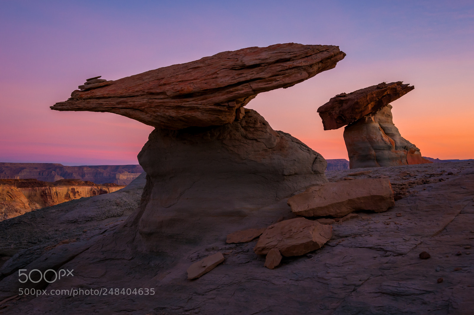 Nikon D300 sample photo. Stud horse point photography