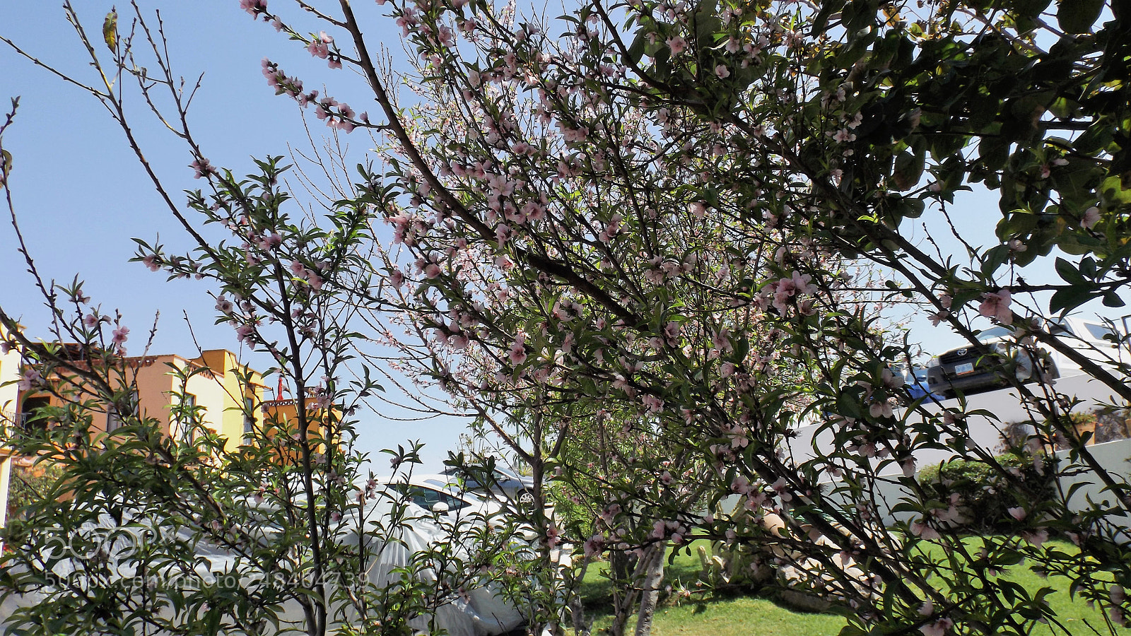 Fujifilm FinePix S4800 sample photo. The spring has started photography