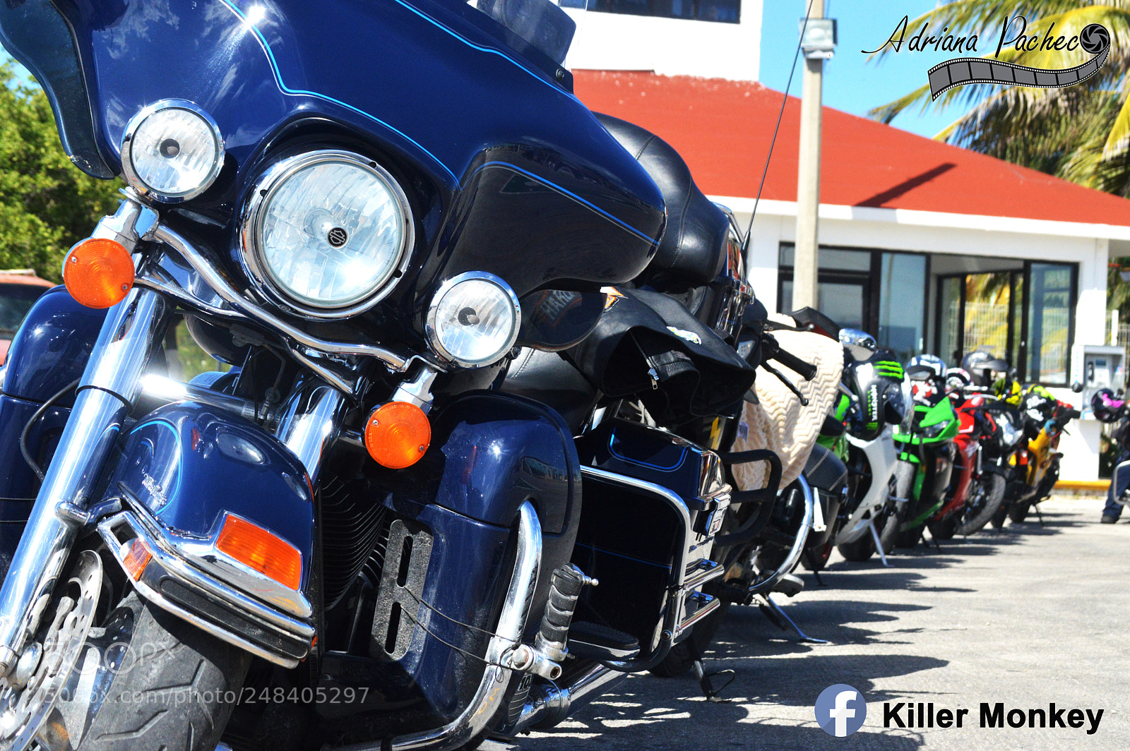 Nikon D3200 sample photo. 1.jpg photography