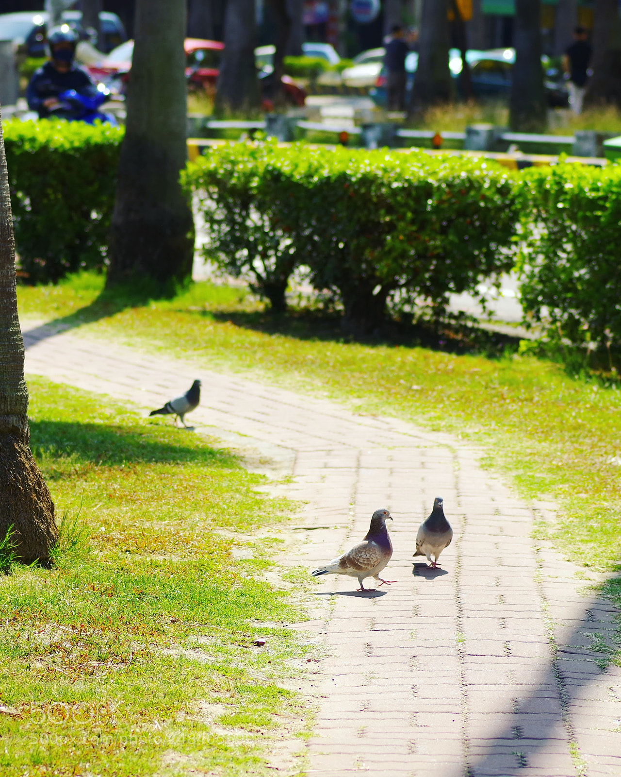 Pentax K-1 sample photo. The view from my photography