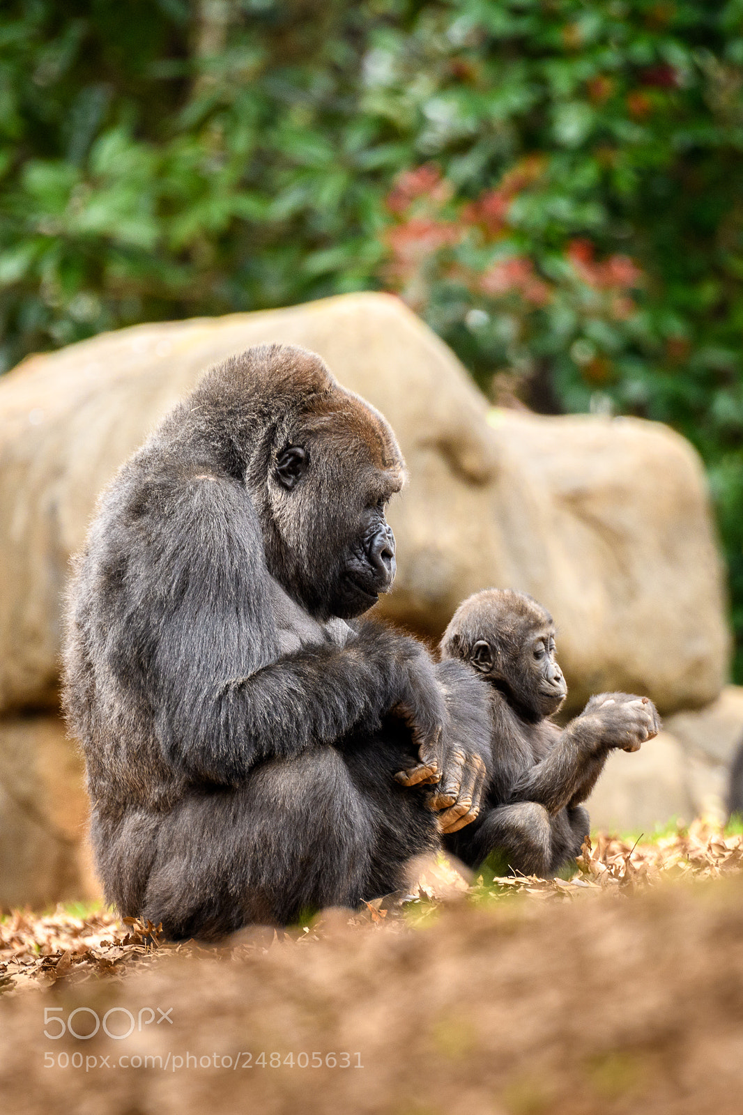 Nikon D850 sample photo. Mother and child photography