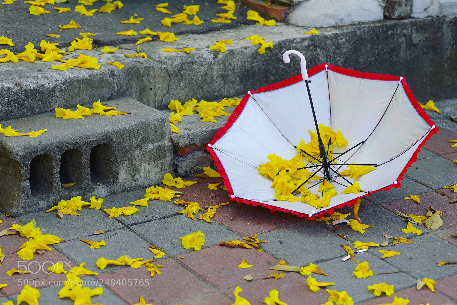 Pentax K-1 sample photo. My year my life photography