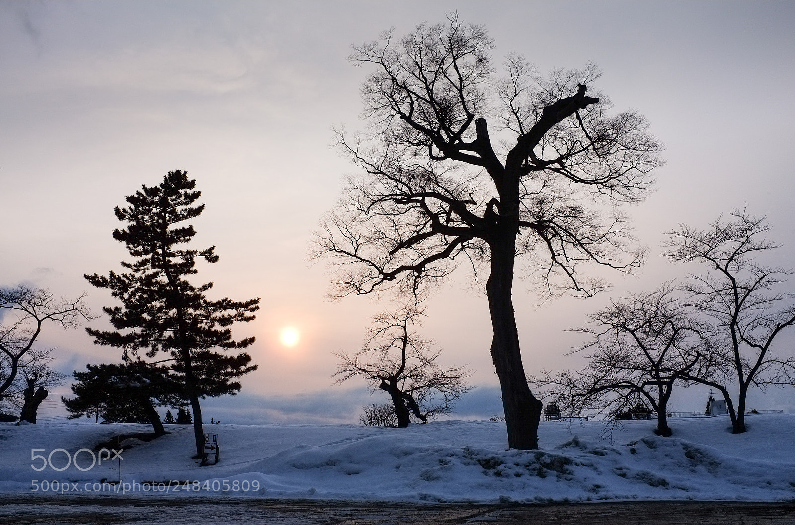 Fujifilm FinePix X100 sample photo. White silence photography