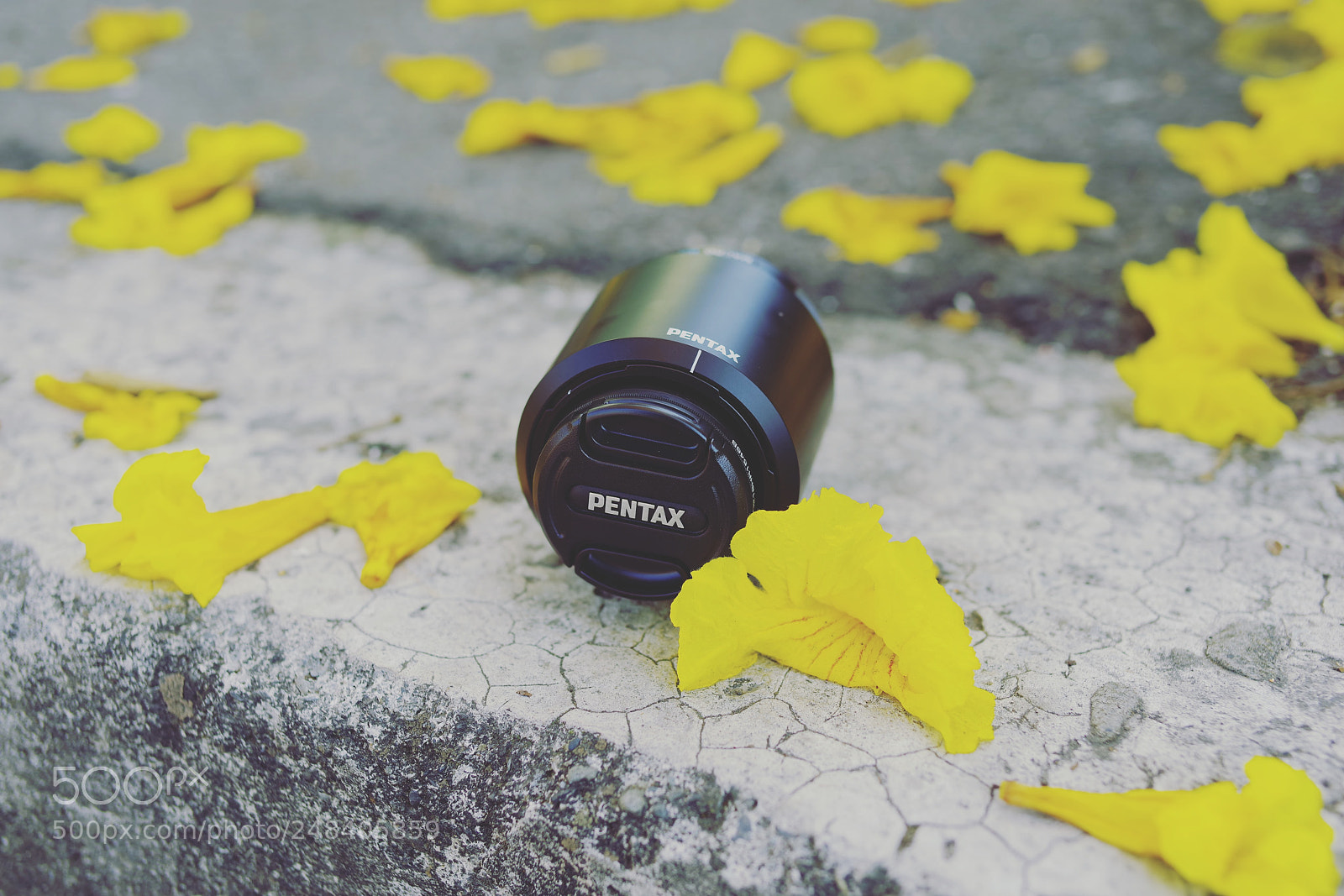 Pentax K-1 sample photo. The best len photography