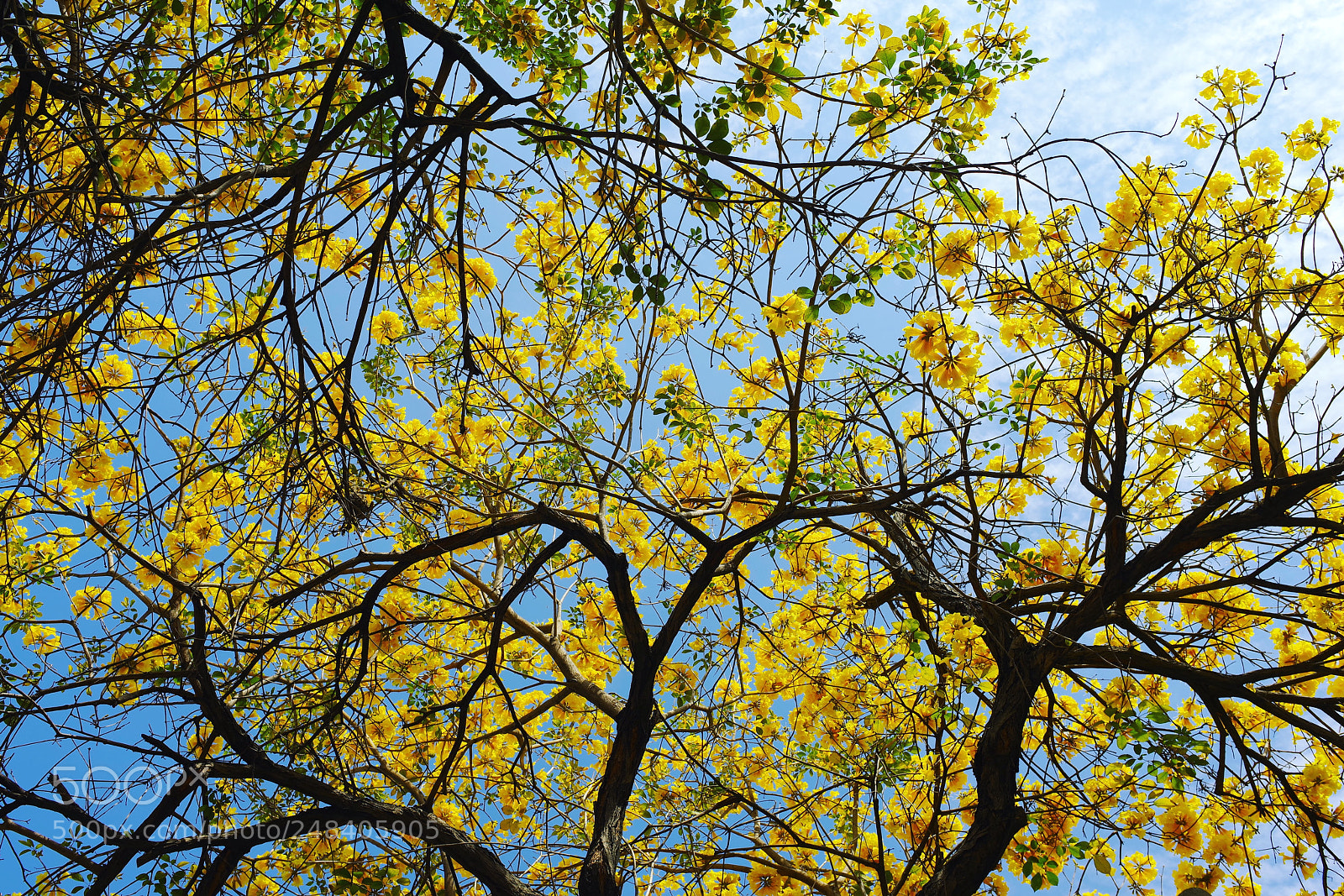 Pentax K-1 sample photo. The view from my photography