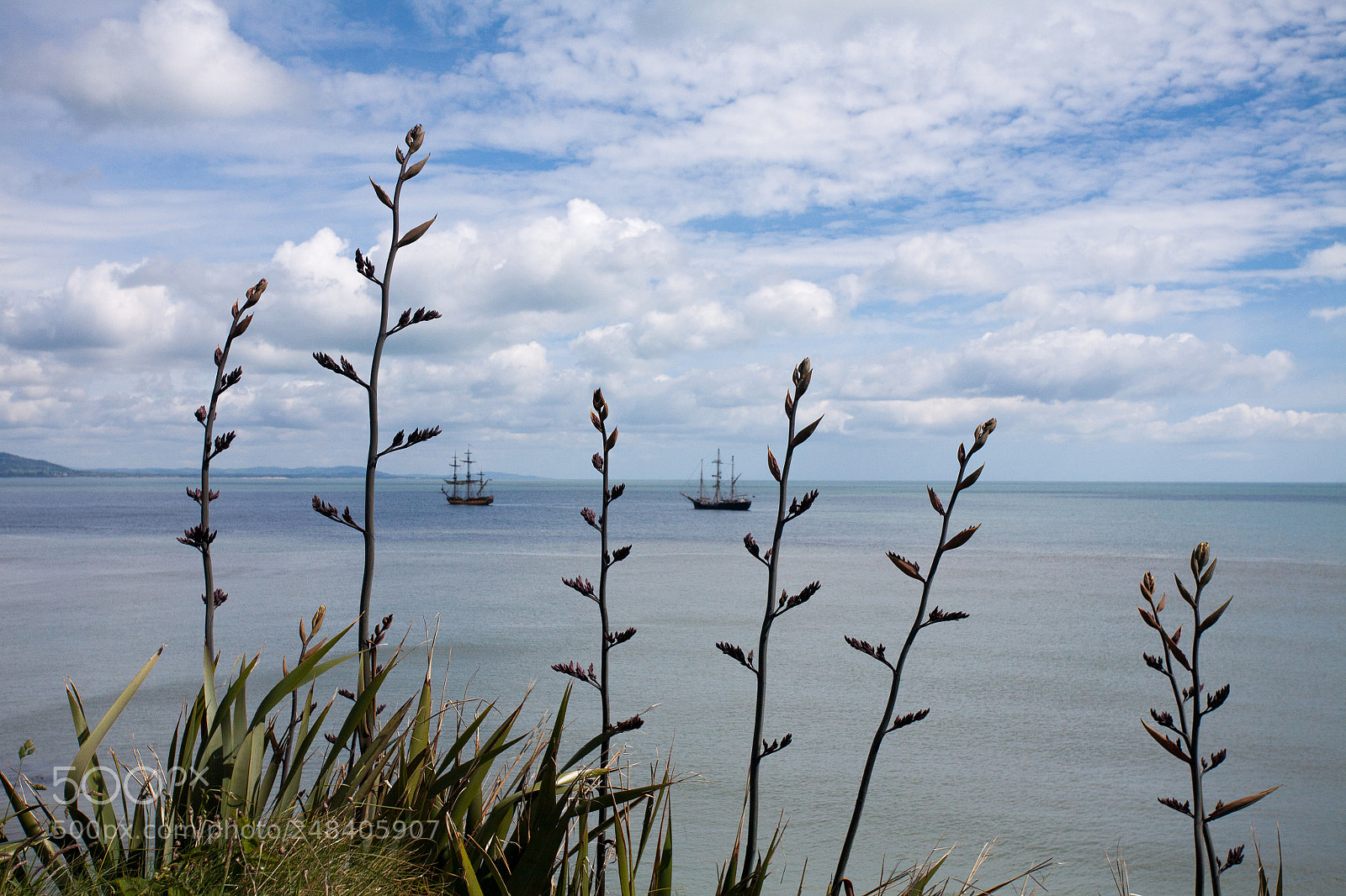 Canon EOS 5D sample photo. Tall ships photography