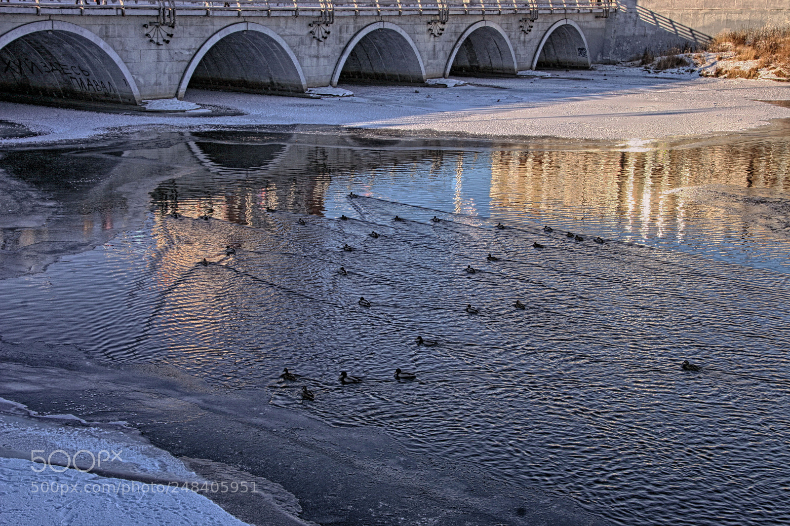 Canon EOS 20D sample photo. торпедоносцы photography