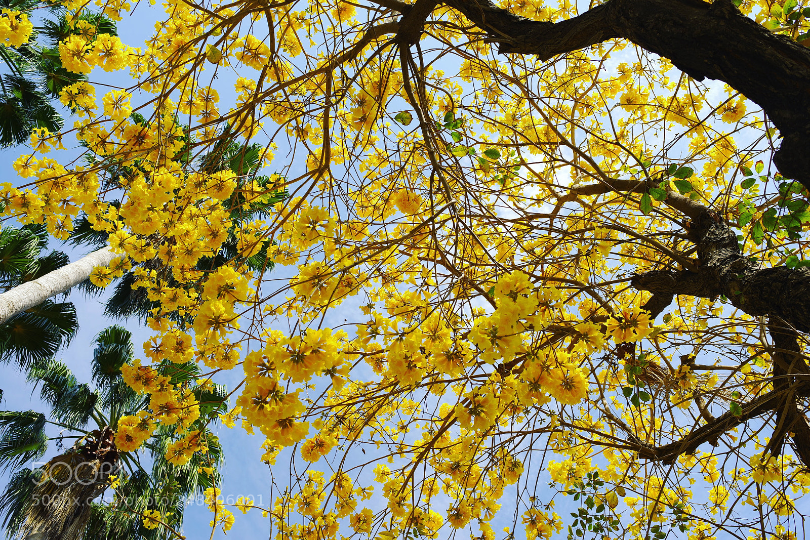 Pentax K-1 sample photo. The view from my photography