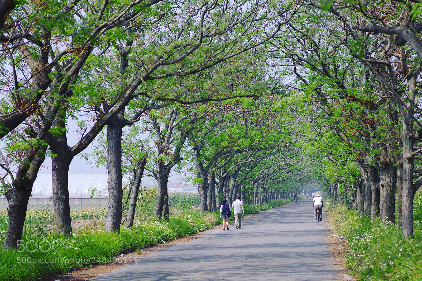 Pentax K-1 sample photo. My year my life photography
