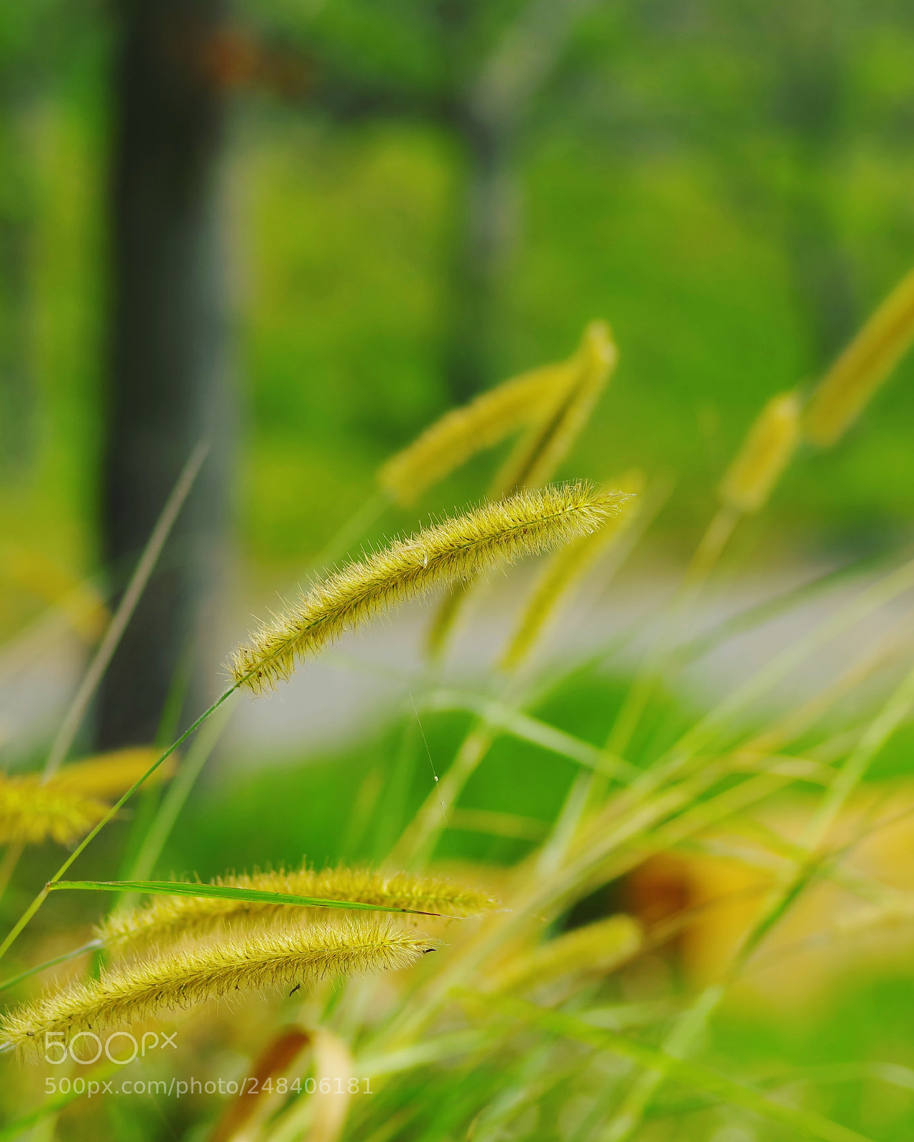 Pentax K-1 sample photo. The view from my photography