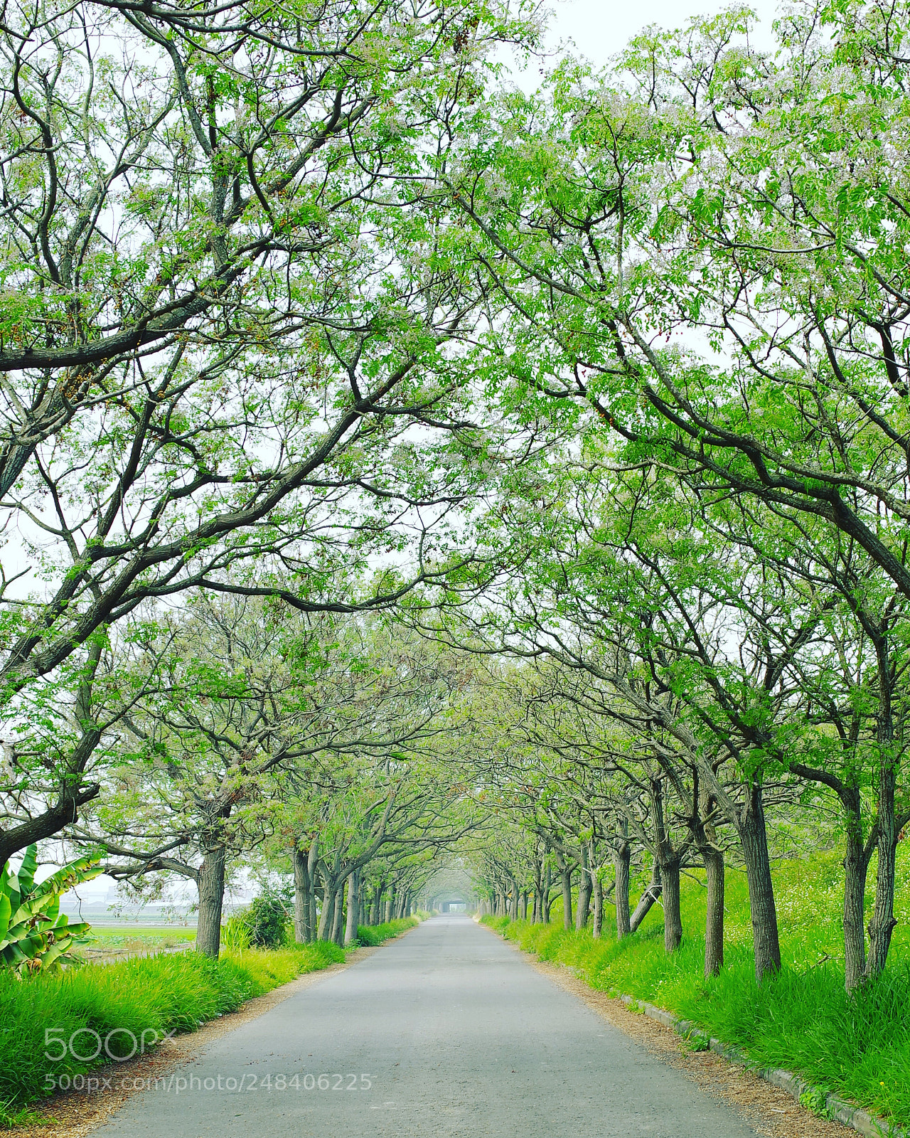 Pentax K-1 sample photo. The view from my photography