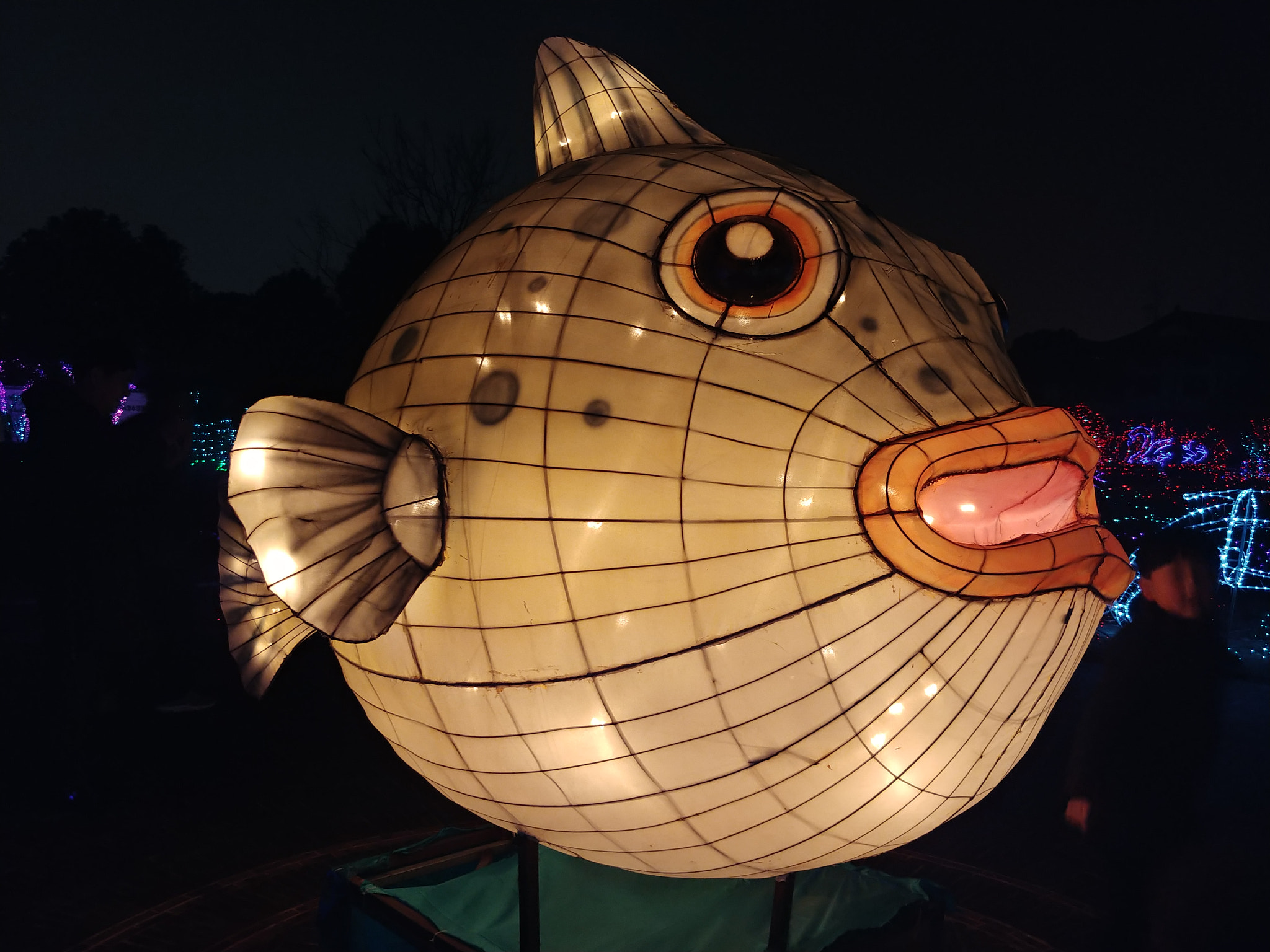 LG V30 sample photo
