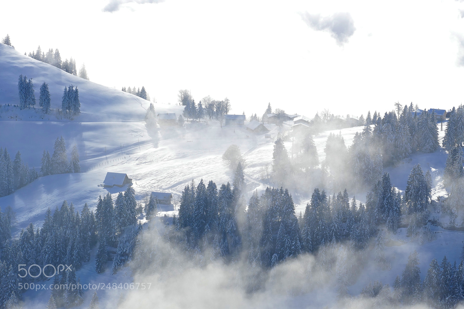 Leica V-Lux (Typ 114) sample photo. Misty in rigi photography