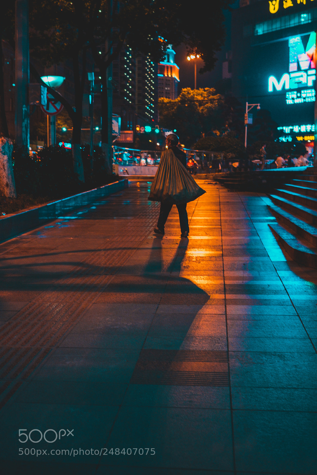 Fujifilm X-Pro2 sample photo. Scavengers photography