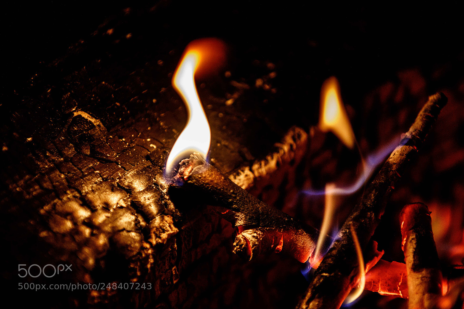 Canon EOS 7D Mark II sample photo. Charred photography