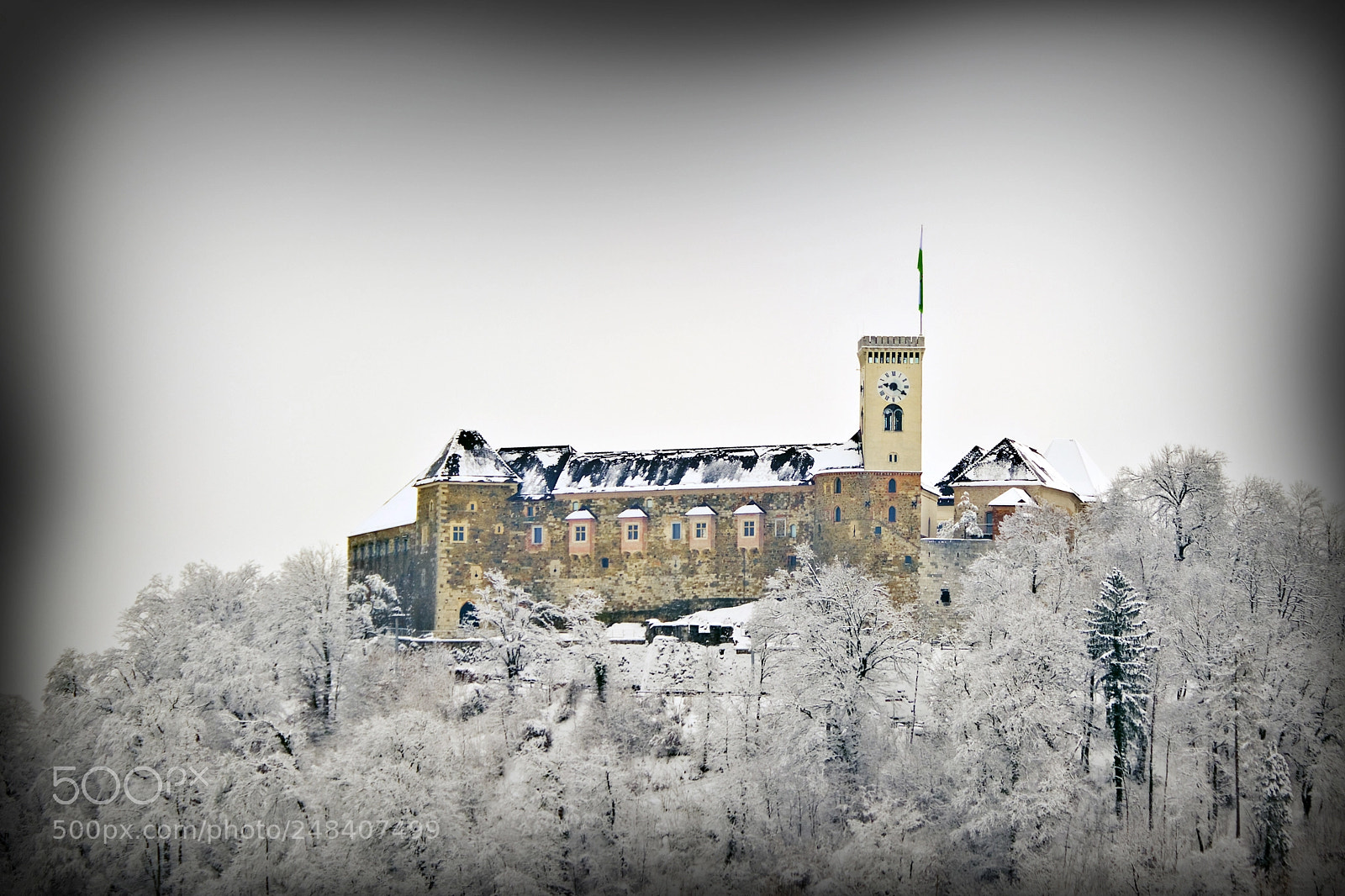 Nikon D500 sample photo. Ljubljana castle under a photography