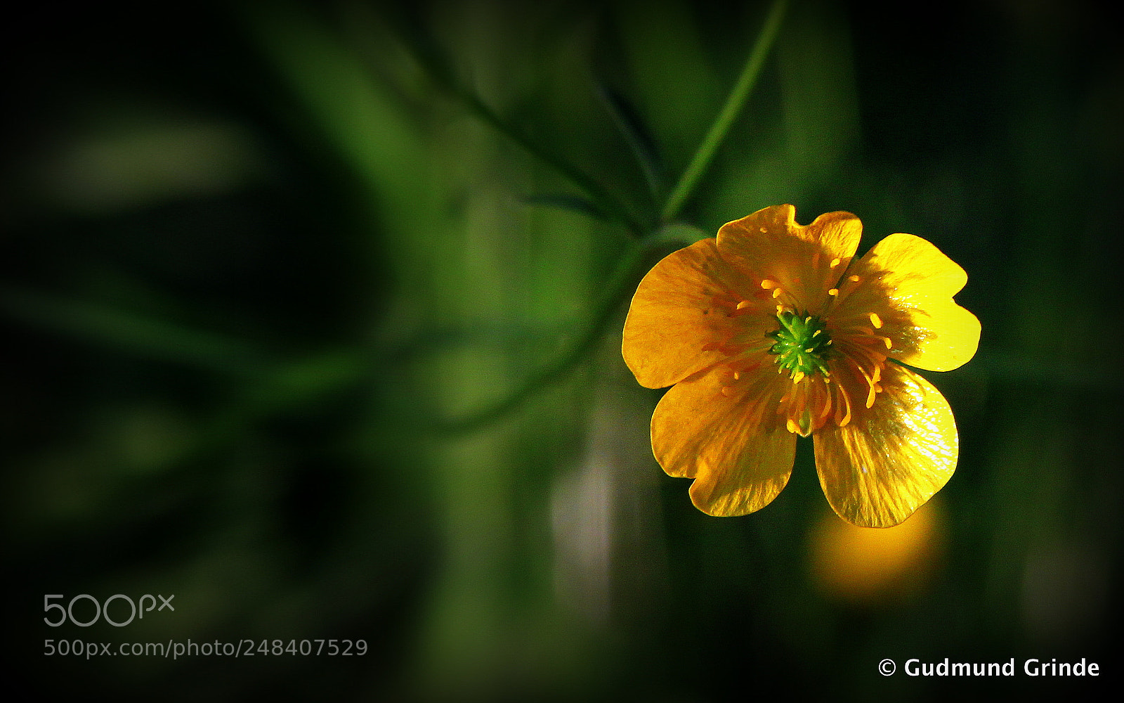 Canon EF-S 18-135mm F3.5-5.6 IS sample photo. Those summer moments photography