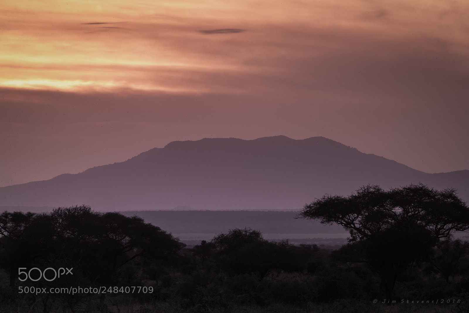 Canon EOS-1D X sample photo. Serengeti sunset photography