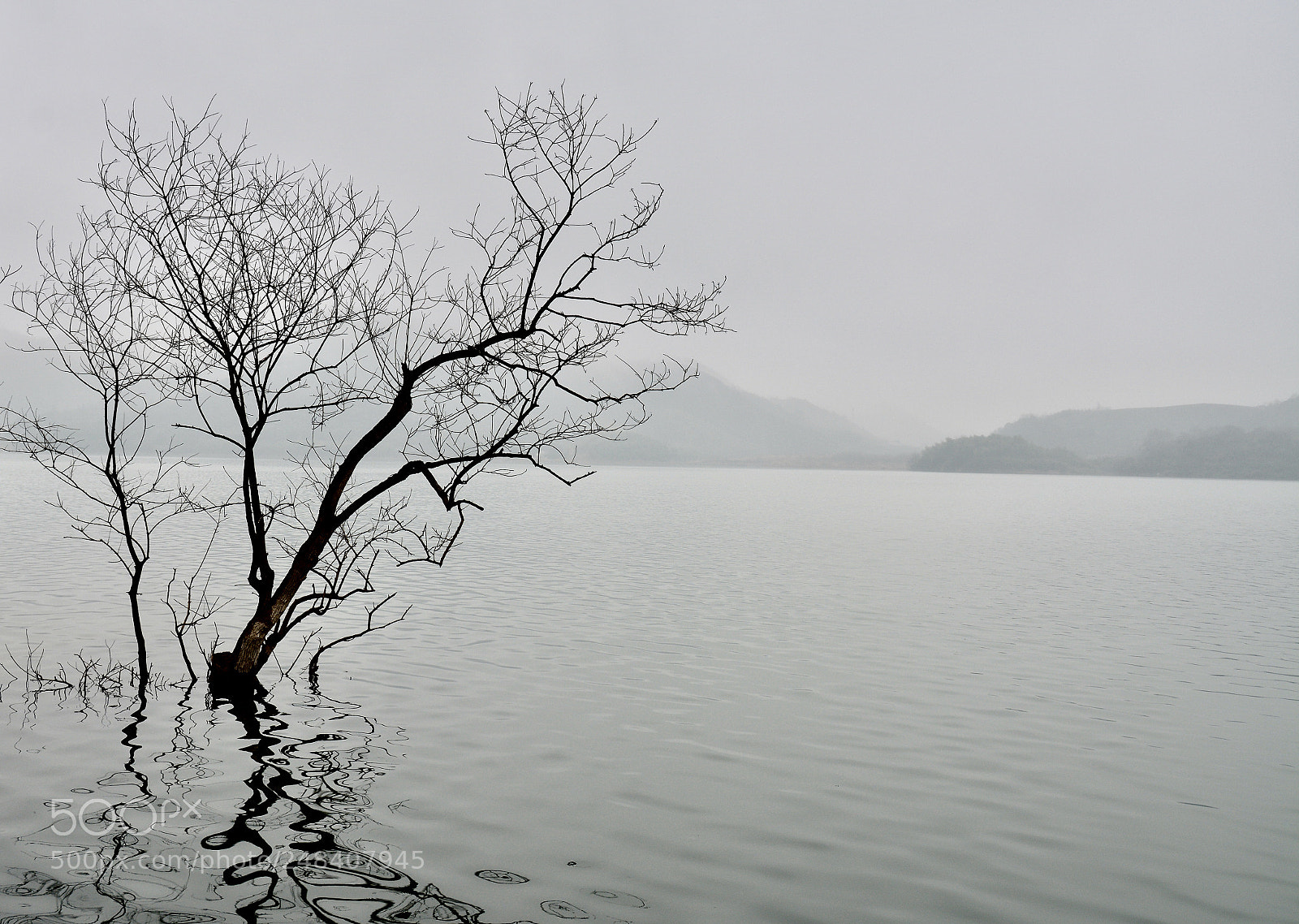 Nikon D7100 sample photo. Untitled photography
