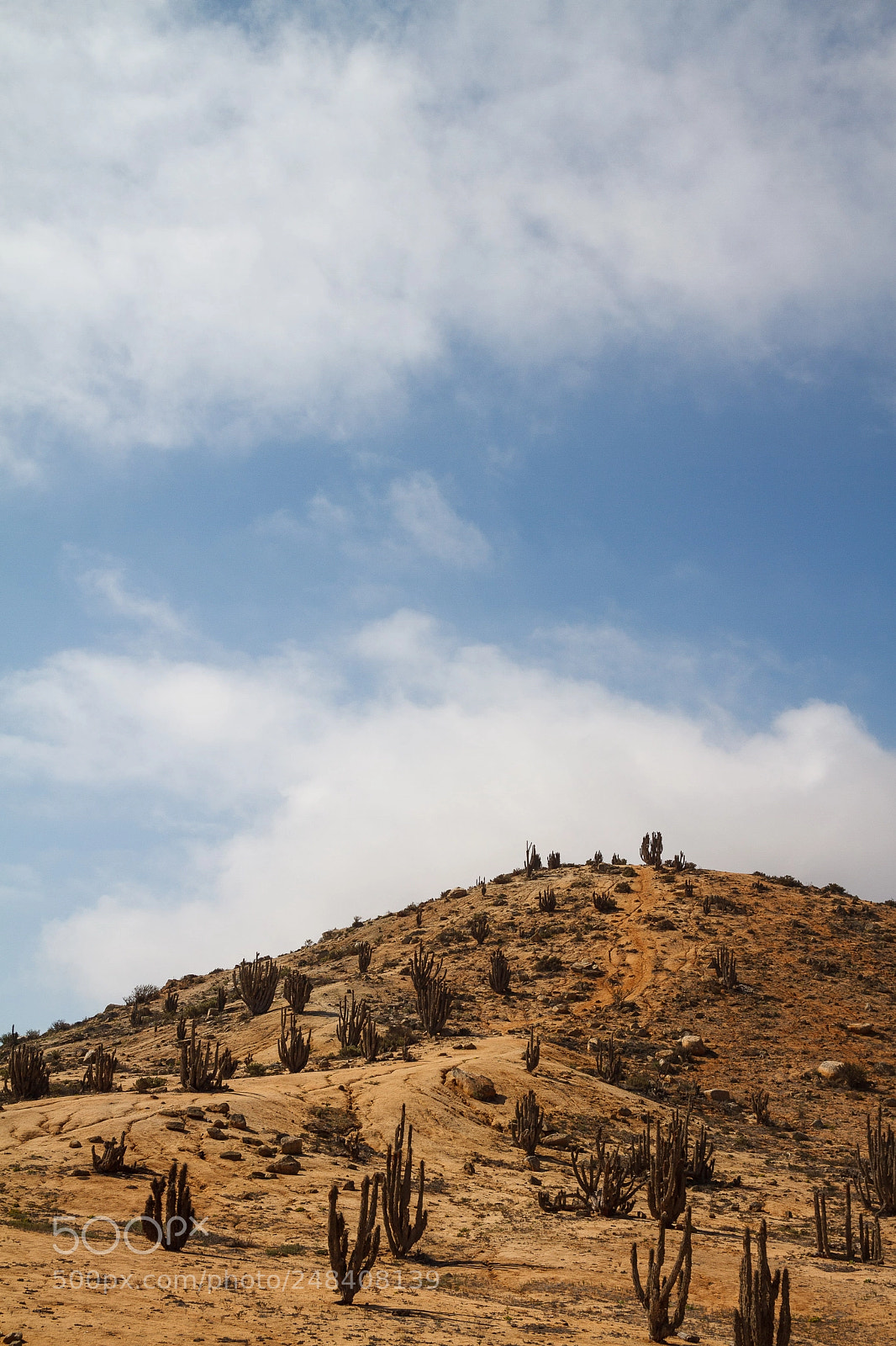 Canon EOS 7D sample photo. Pan de azúcar photography