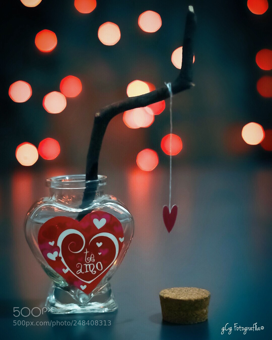 Nikon D5500 sample photo. Love photography